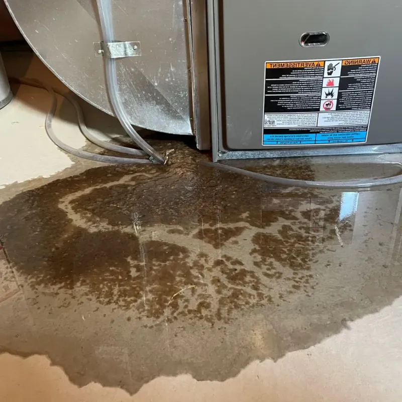 Pipe Burst and Leak Restoration in Ballinger, TX