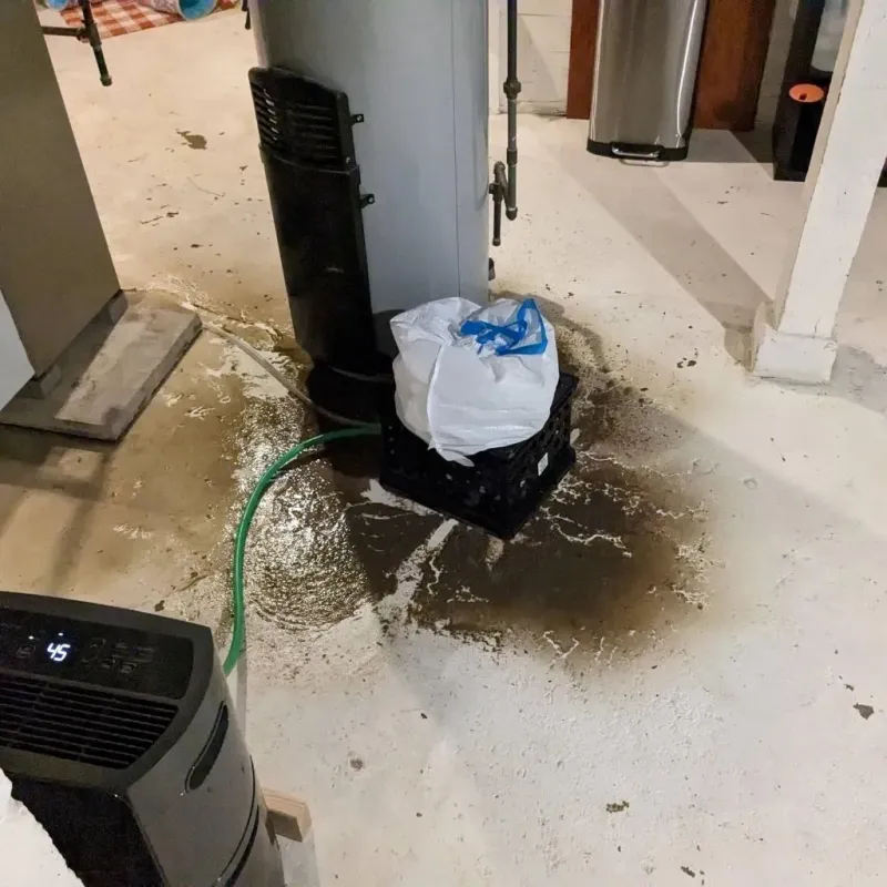 Sewage Backup Cleanup Service in Ballinger, TX